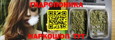 стаф Нарткала